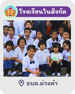 องค์การบริหารส่วนตำบลม่วงคำ ( อบต.ม่วงคำ ) 